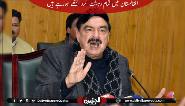 افغانستان میں تمام دہشت گرد اکٹھے ہورہے ہیں