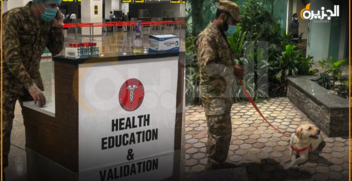 پاک فوج کے تربیت یافتہ کتوں نے5 مسافروں میں کورونا کی نشاندہی کرلی