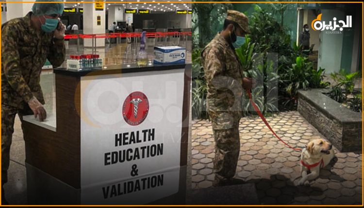 پاک فوج کے تربیت یافتہ کتوں نے5 مسافروں میں کورونا کی نشاندہی کرلی