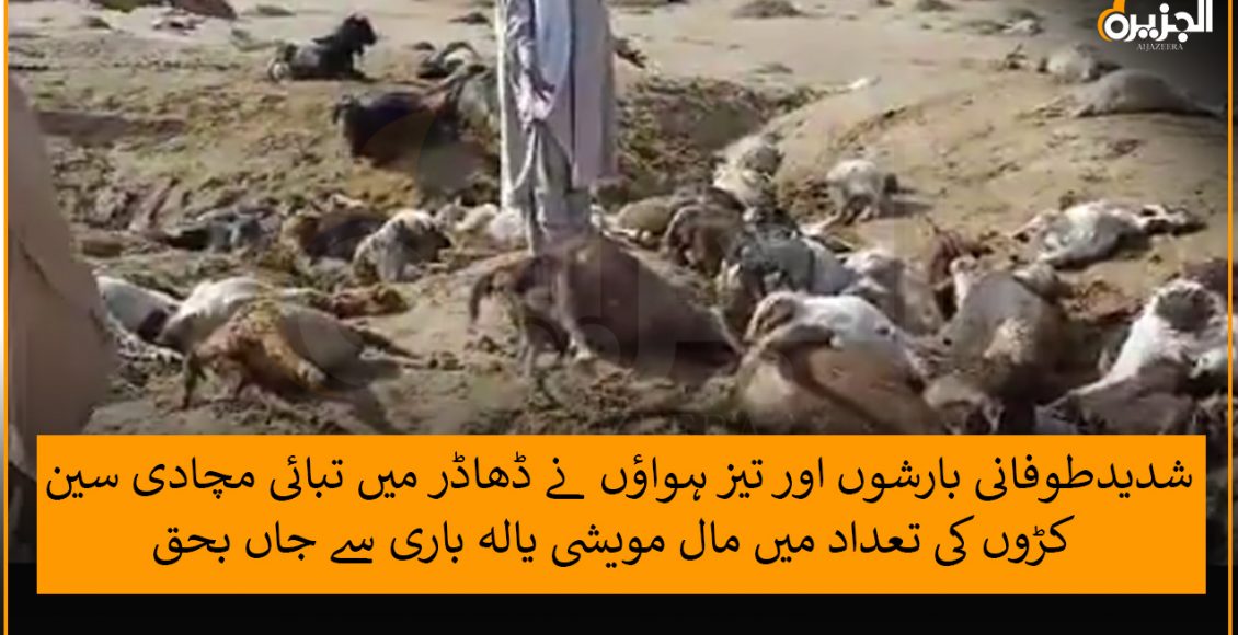 شدیدطوفانی بارشوں اور تیز ہواؤں نے ڈھاڈر میں تبائی