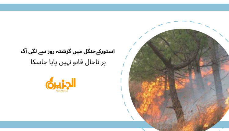 استورکےجنگل میں گزشتہ روز سے لگی آگ پر تاحال قابو نہیں پایا جاسکا